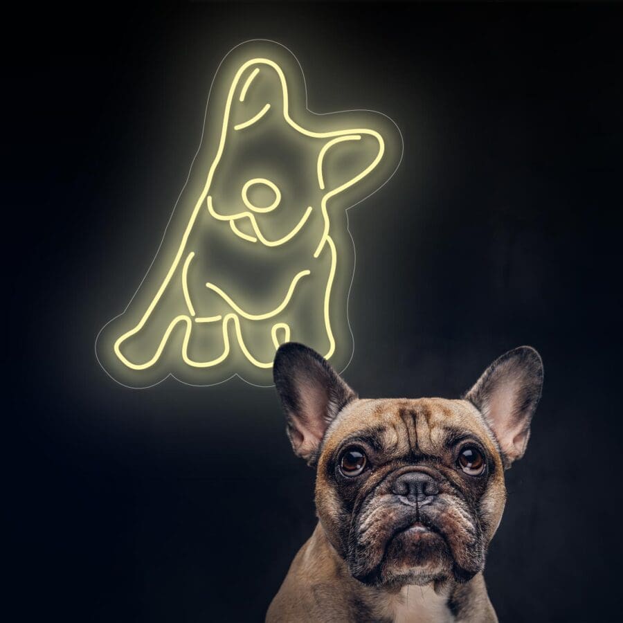 Un bulldog francés se sienta frente a una luz de neón brillante con la forma de un bulldog similar.