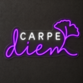 Neón LED Carpe Diem - Miniatura 6