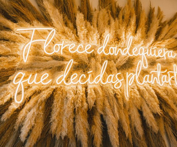 Un letrero de neón en español que dice "Florece donde quieres que decidas plantarte" está montado sobre un fondo de hierbas de pampas secas dispuestas en un patrón circular.
