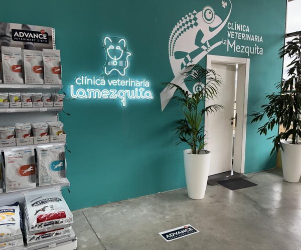Área de recepción de Clínica Veterinaria La Mezquita con alimento para mascotas en estantes, pared verde azulado, letrero de neón, logo de camaleón y plantas en macetas.